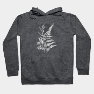 Hand-drawn leaf of fern and branch Hoodie